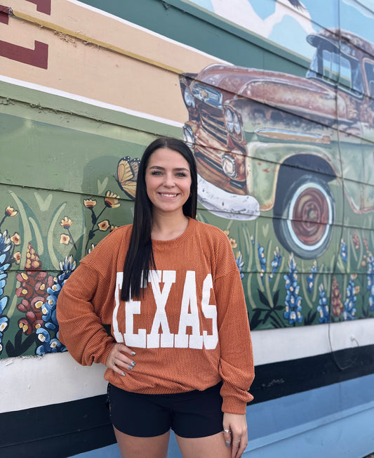 Longhorn Texas Sweater